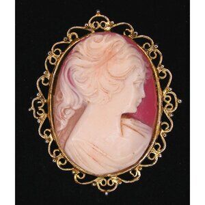 Cameo 1970's Plastic or Resin
